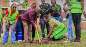 Rotary Club of Acacia Sunset renovates Wattuba Health Centre